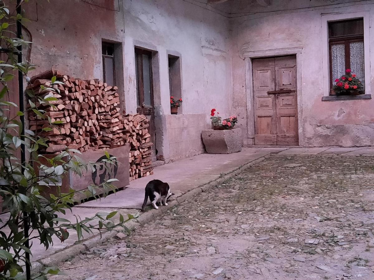 Guest House Seme Di Faggio Miasino المظهر الخارجي الصورة