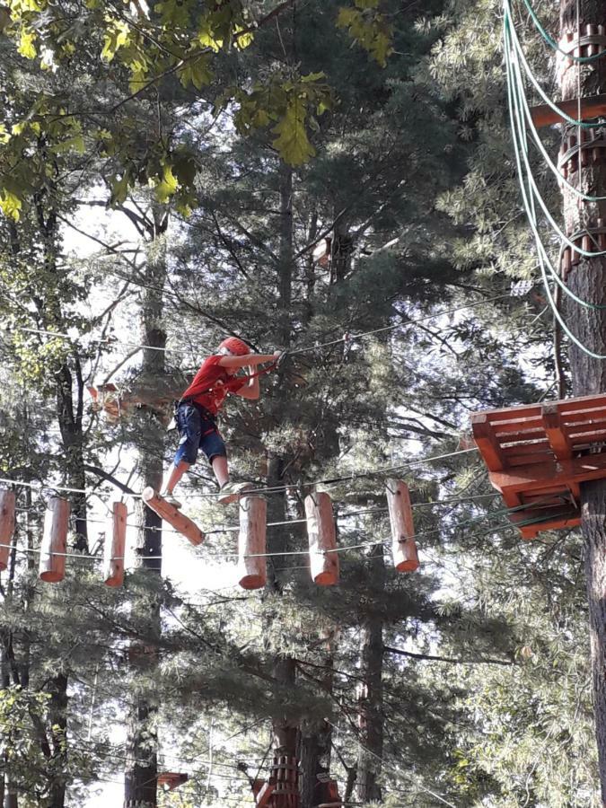 Guest House Seme Di Faggio Miasino المظهر الخارجي الصورة