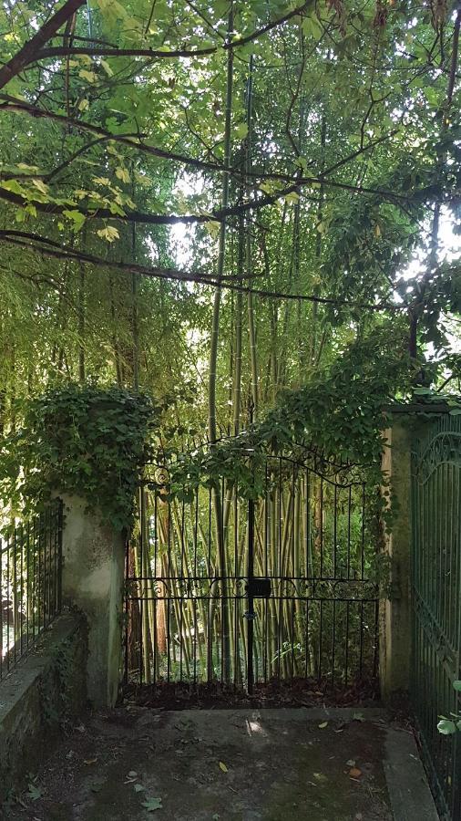 Guest House Seme Di Faggio Miasino المظهر الخارجي الصورة